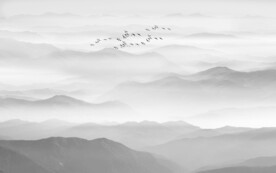 水墨山水
