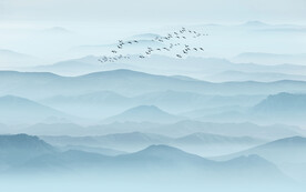 禅意山水画