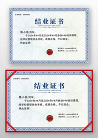 藍(lán)色公司學(xué)校技能培訓(xùn)結(jié)業(yè)證書