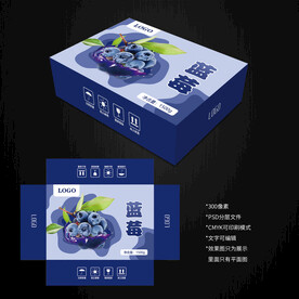 藍莓包裝