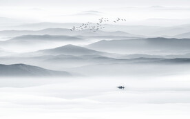 江山如畫山水背景墻