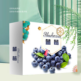 藍(lán)莓 包裝