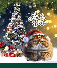 圣誕貓