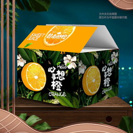 臍橙禮盒