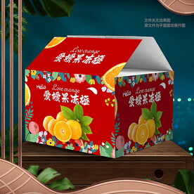 愛媛包裝 果凍橙禮盒