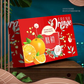 橙子包裝  臍橙禮盒 