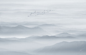 水墨画