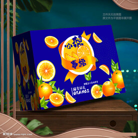 橙子包裝 臍橙禮盒