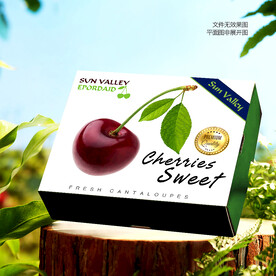 櫻桃包裝 車?yán)遄佣Y盒