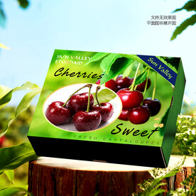 櫻桃包裝 車?yán)遄佣Y盒