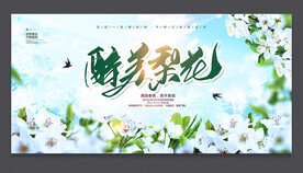 梨花節