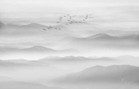 水墨山水画