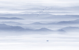 現(xiàn)代簡約中式背景墻