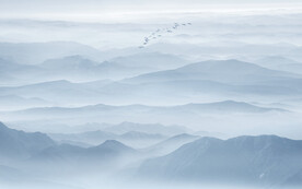 山水水墨畫背景墻
