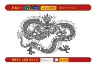 腾龙九州矢量图案