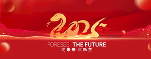 2025年会