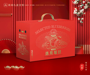 蓝莓包装 水果礼盒