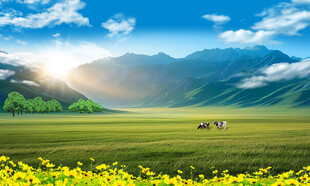 草原風(fēng)景壁紙