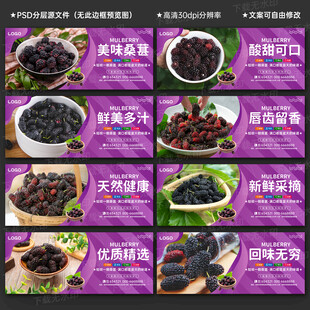 桑葚