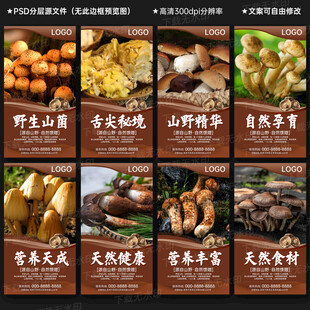 野生菌