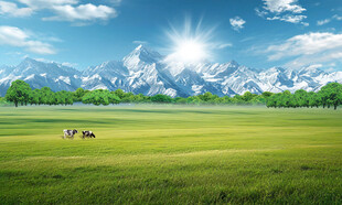 藍天白云大草原