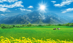 藍天白云大草原