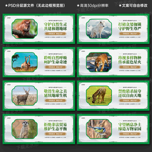 保護(hù)野生動(dòng)物