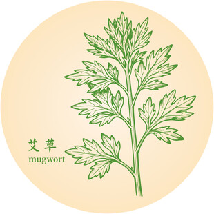 手繪清新艾草中藥材草本植物圖案