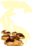 面包
