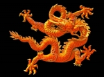 龙的图片