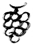 葡萄随笔画