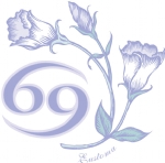 花矢量图