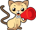 喊话的猫