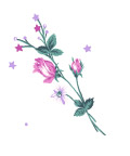 卡通鲜花