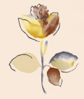 花朵图案