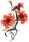 花草水墨画