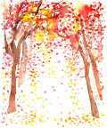 涂鸦彩画