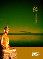 房地产广告设计PSD