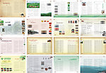 期刊内页后32P