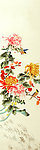 花鸟图片