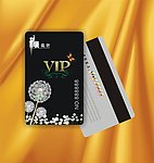 会员卡 贵宾卡 VIP卡 积分卡 金卡 美容美发卡