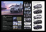 2010新款霸道B