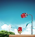 地产广告