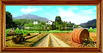 自然风景 麦田风景 美丽大自然