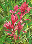 鲜艳花卉油画