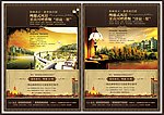 别墅洋房房地产报广设计