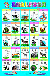 幼儿智力启蒙识字挂图 5