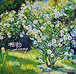 无框画 花卉 装饰画 高清