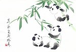 熊猫三只第一集