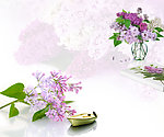 花中梦境